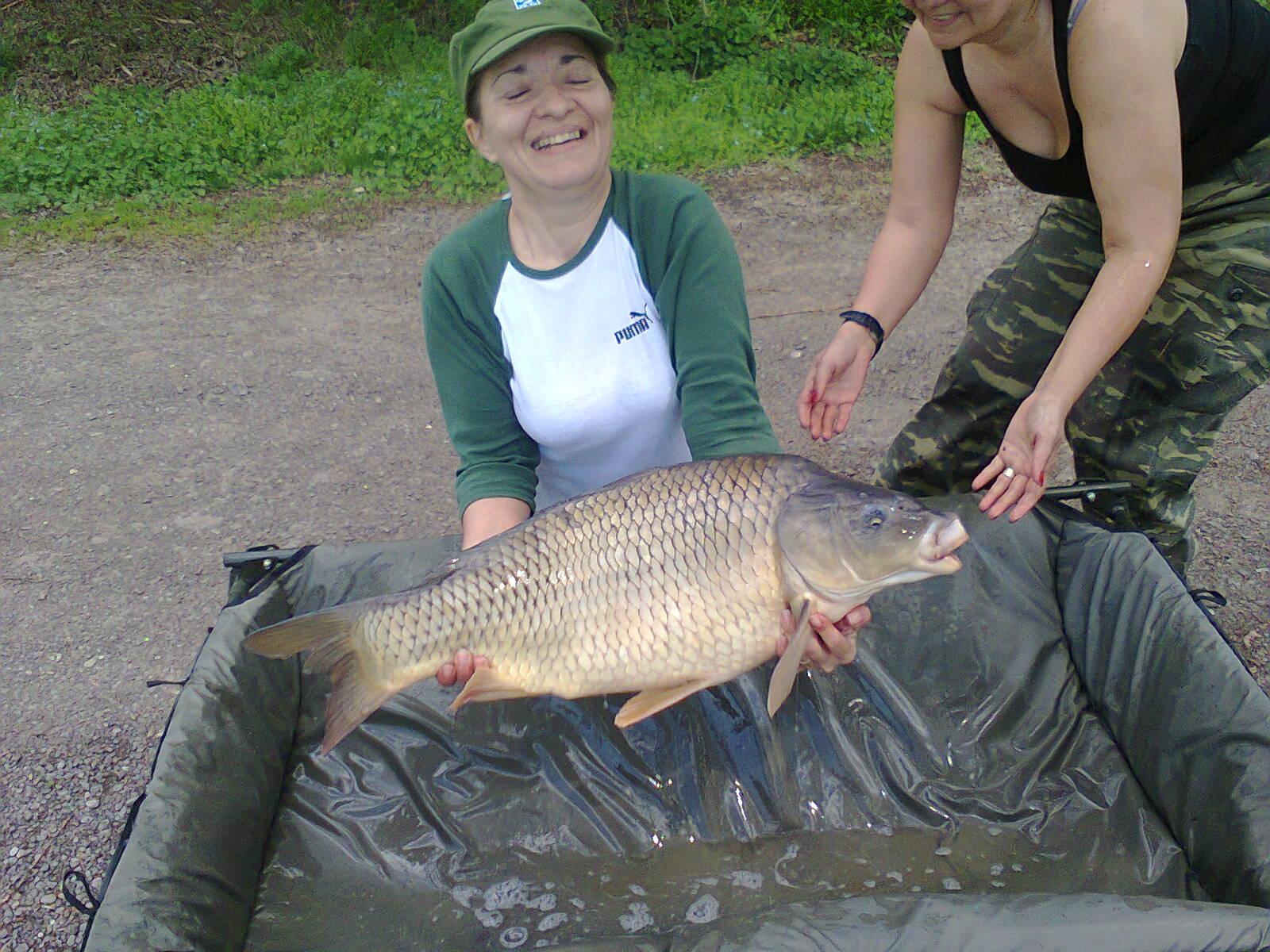 Tancabesti - fotografie0029.jpg